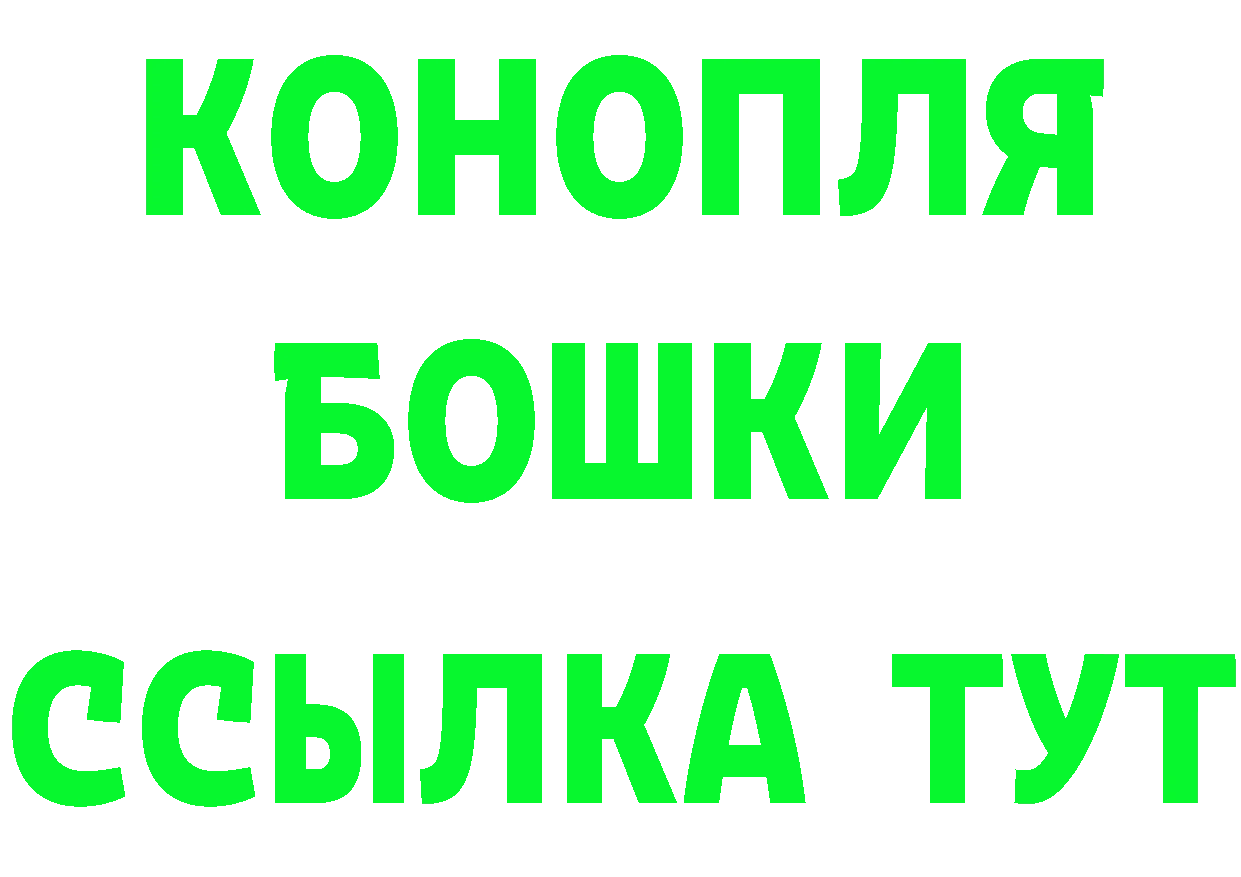 Конопля OG Kush вход площадка MEGA Северодвинск